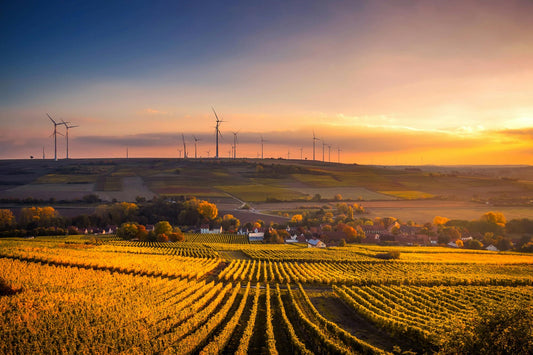 🌿 10 Simple &amp; Effective Tips for Sustainable Living