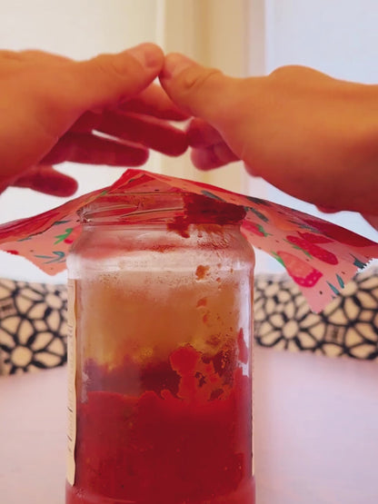Reusable Beeswax Wrap